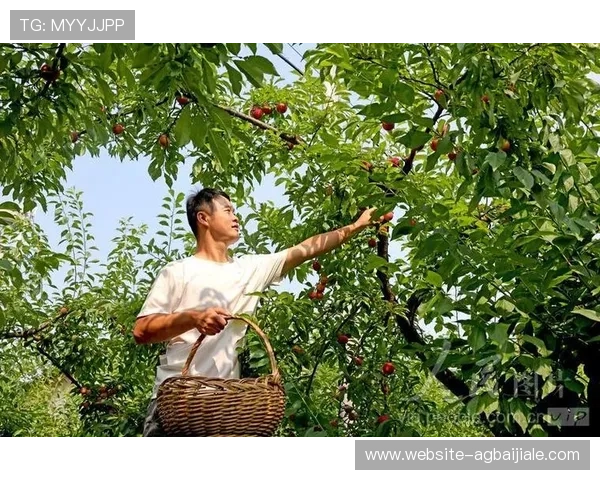 云顶集团首页在哪提供官方入口的详细位置图示及安全登录建议 云顶集团首页在哪提供官方入口的详细位置图示及安全登录建议