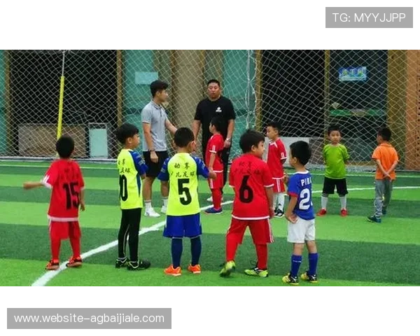 欧博真人足球电脑版与手机版的区别分析，选择最适合你的足球游戏版本